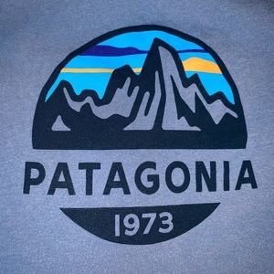 Patagonia Organic Cotton Slim Fit Tee